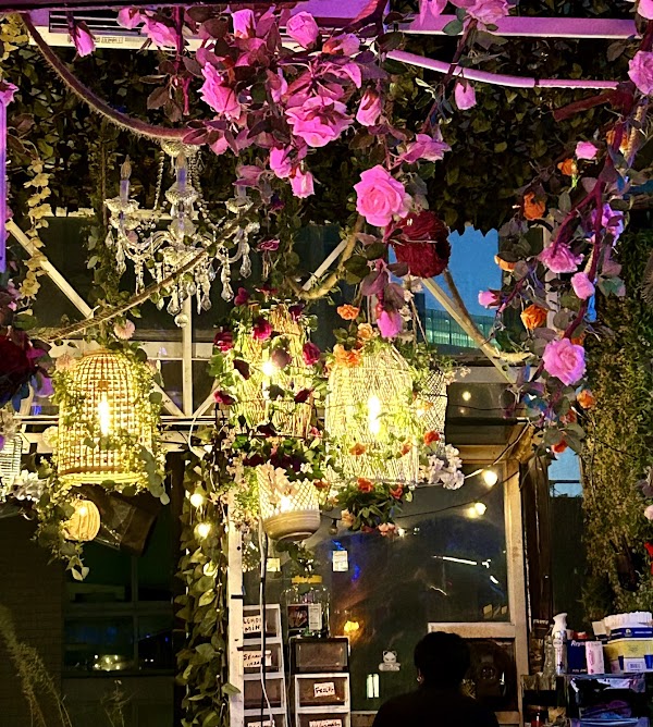 Highkey Rainforest Rooftop 2