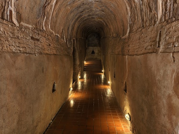 Wat Umong Suan Phutthatham 4