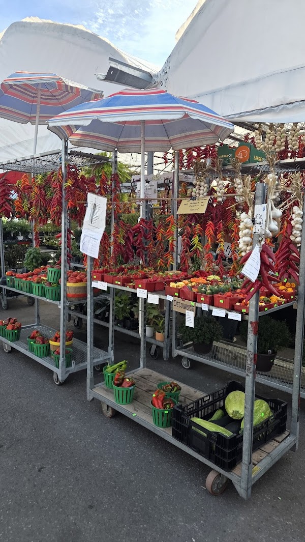 Jean Talon Market 6