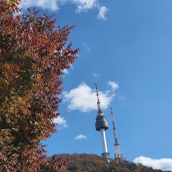 서울특별시교육청 남산도서관 2