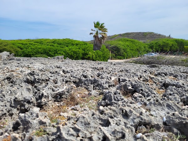 Shete Boka National Park 4