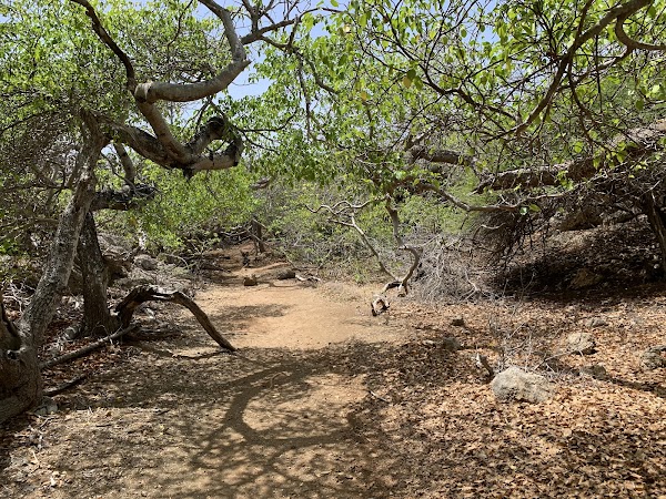 Shete Boka National Park 3