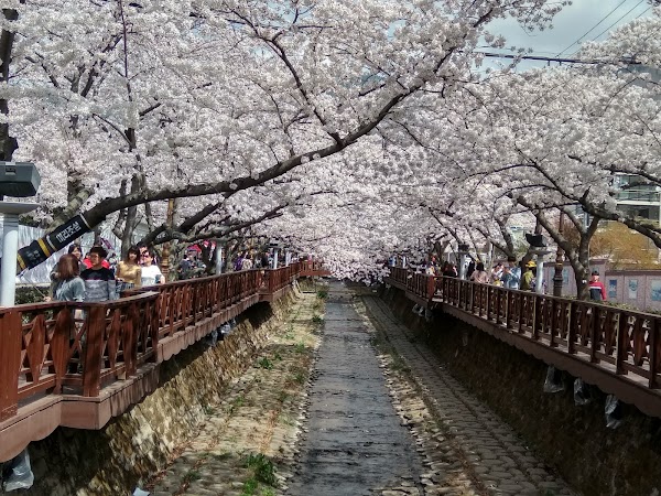 Jinhae Dream Park 6