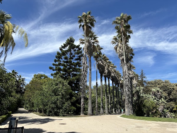 Tropical Botanical Garden 1