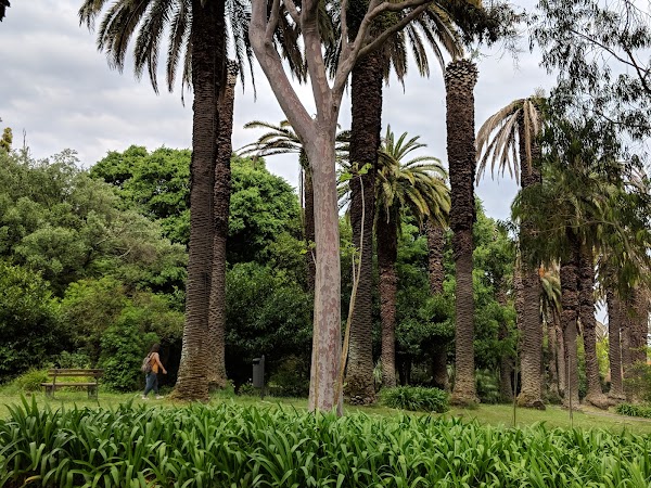 Tropical Botanical Garden 4