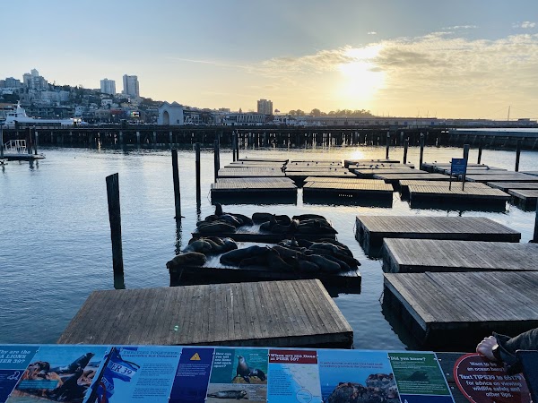 San Francisco Carousel at Pier 39 5