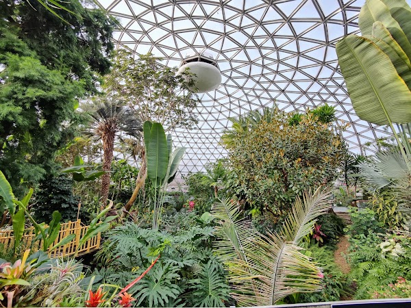 Bloedel Conservatory 5