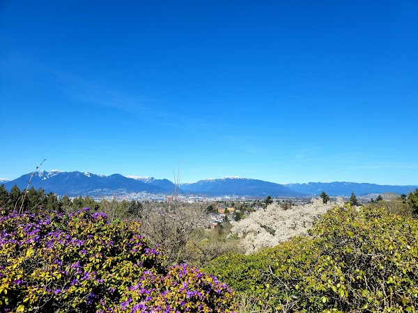 Bloedel Conservatory 2