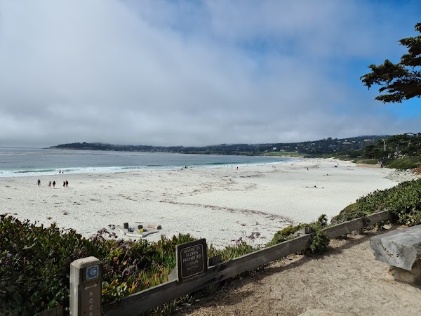 Carmel Beach 5