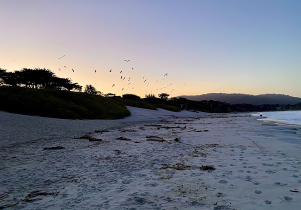 Carmel Beach 3