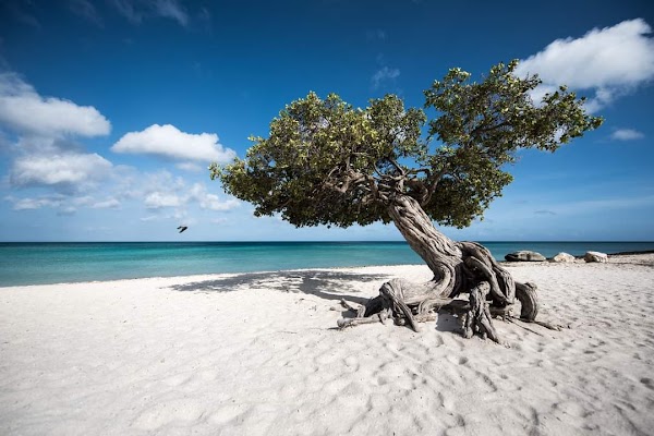 Eagle Beach