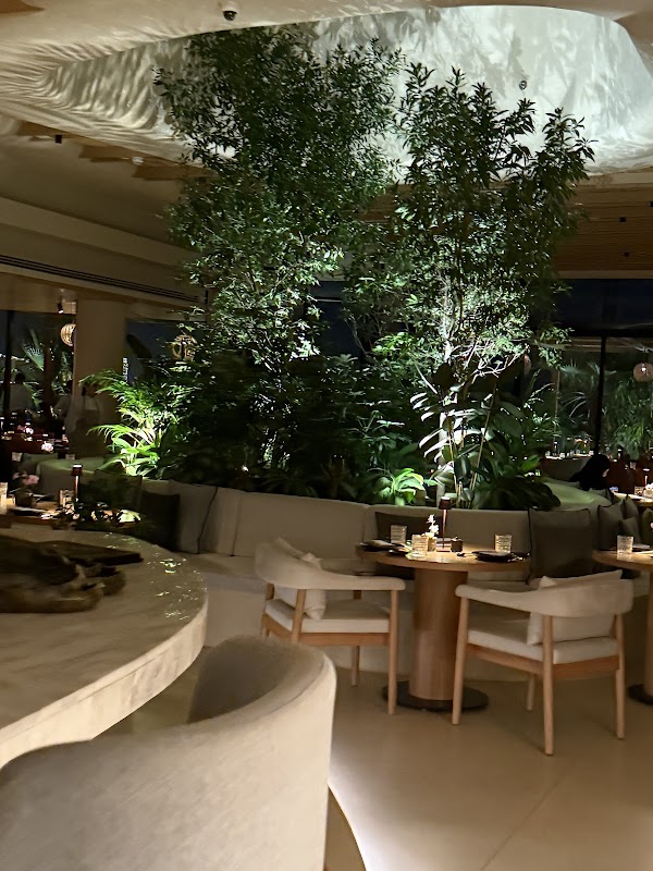 Novikov Doha Restaurant & Beach Club 2