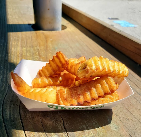 Sea Dogs Cocoa Beach 5