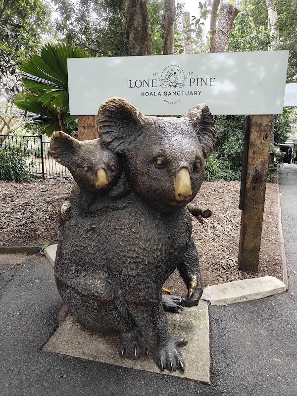 Lone Pine Koala Sanctuary 6