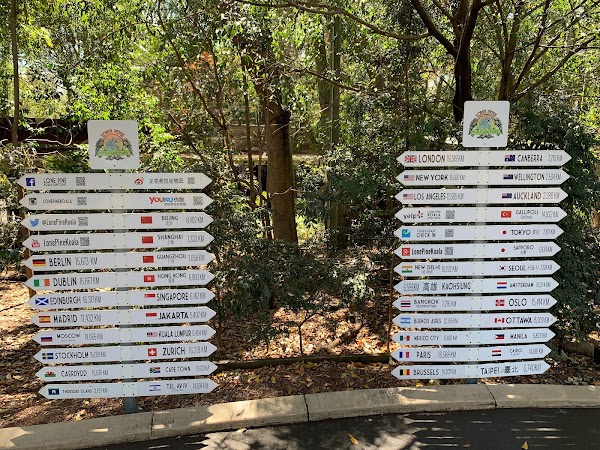 Lone Pine Koala Sanctuary 3