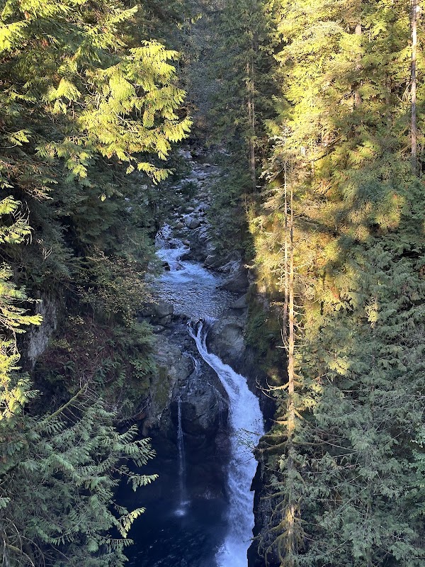 Lynn Canyon Suspension Bridge 5