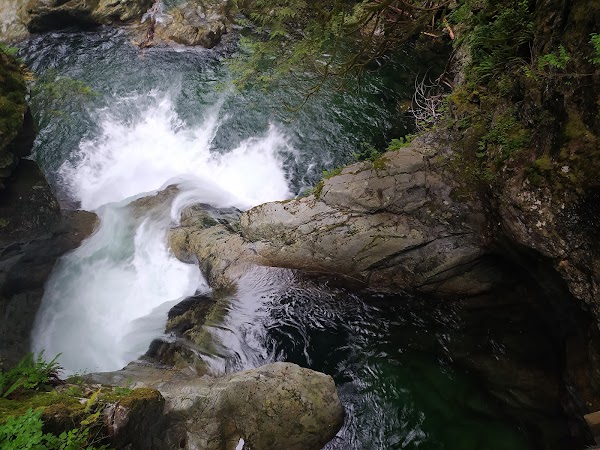 Lynn Canyon Suspension Bridge 4