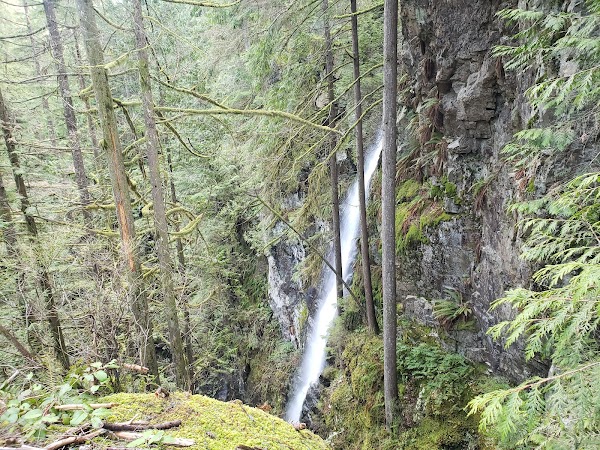 Lynn Canyon Suspension Bridge 2