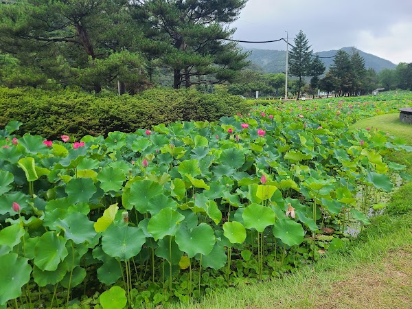 Songnisan National Park 4