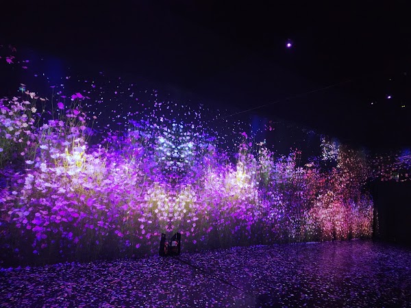 Arte Museum Valley Gangneung