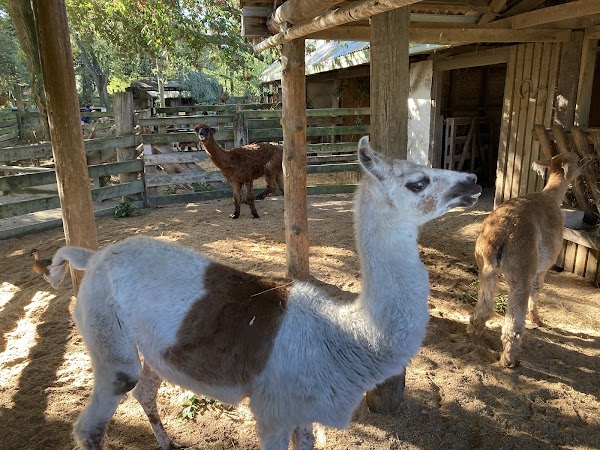 Willowbank Wildlife Reserve 4