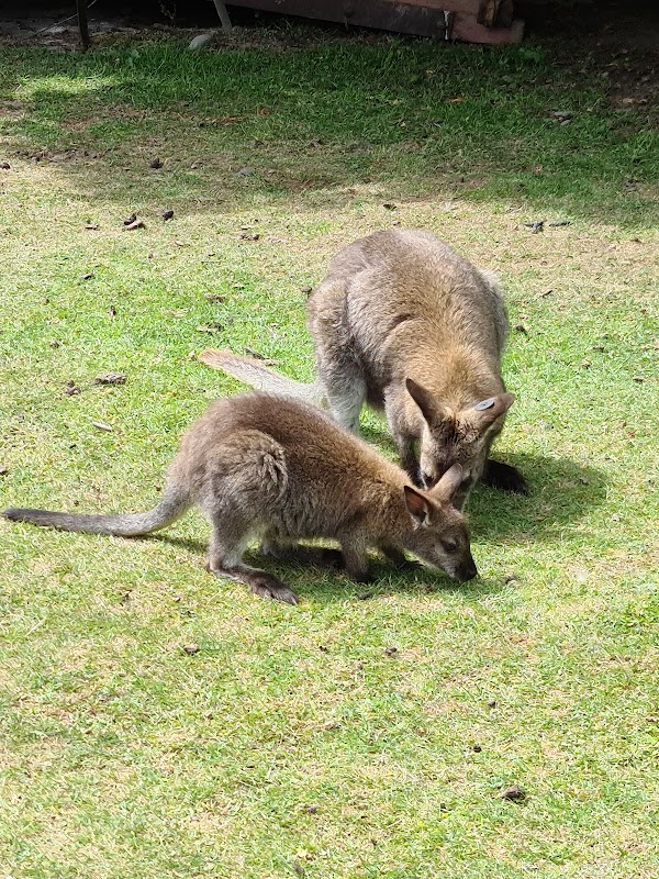 Willowbank Wildlife Reserve 2