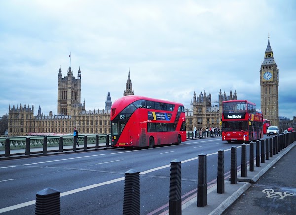 Westminster Bridge 5