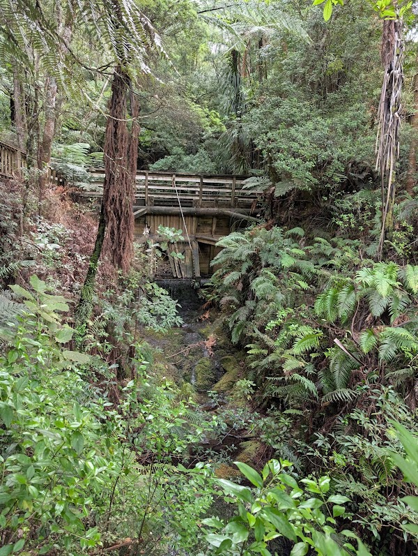 Department of Conservation - Kauaeranga Visitor Centre