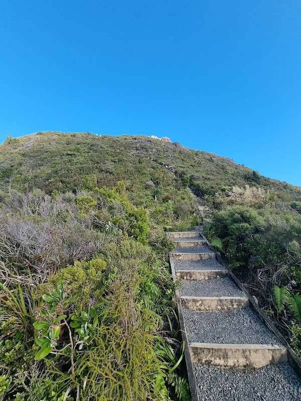 Department of Conservation - Kauaeranga Visitor Centre 2