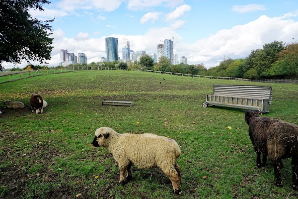 Mudchute Park and Farm 5