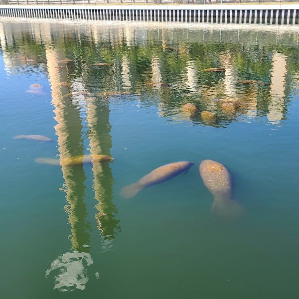 Manatee Viewing Center