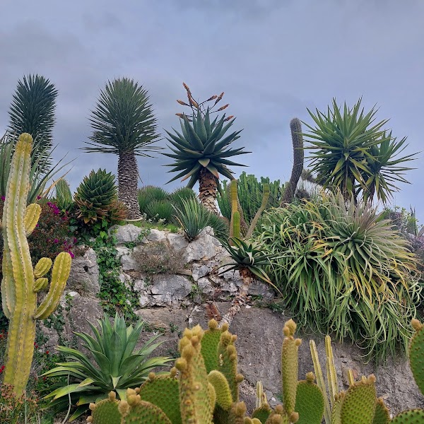 Eze village France 🇫🇷 5
