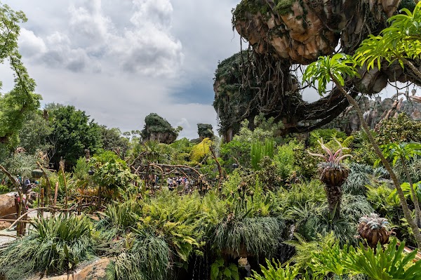 Pandora – The World of Avatar