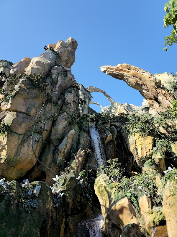 Pandora – The World of Avatar 5