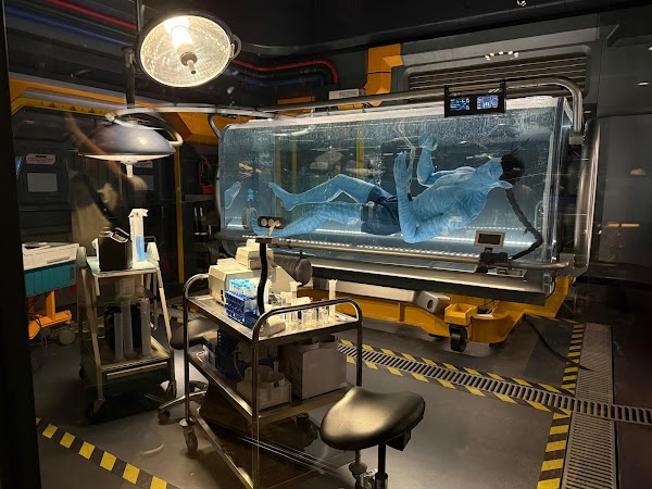 Pandora – The World of Avatar 4