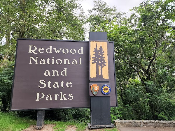 Redwood National and State Parks 5