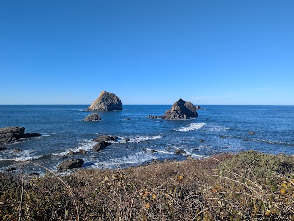 Redwood National and State Parks 4