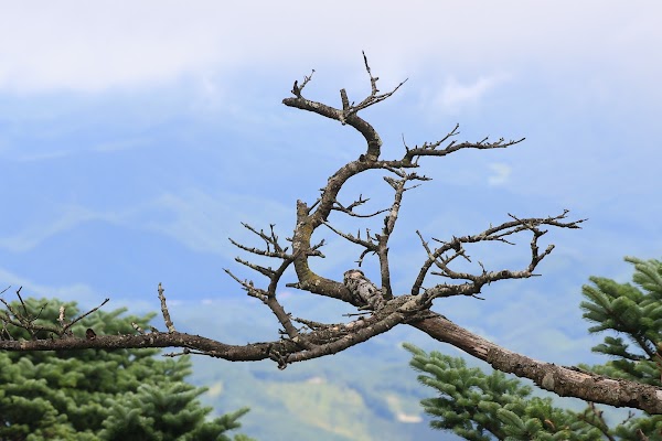Balwangsan Skywalk 3