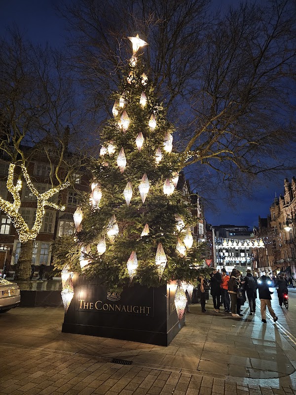 Ever After Garden - Royal Marsden Cancer Charity 2