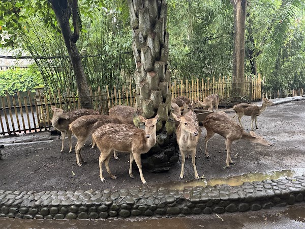 Bali Zoo 2