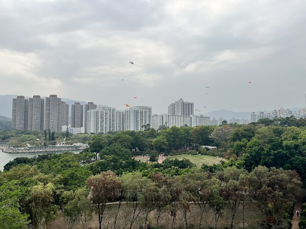 Spiral Lookout Tower 2