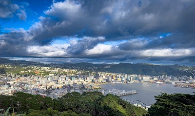 Wellington's Urban Charms: A Half-Day City Exploration 2