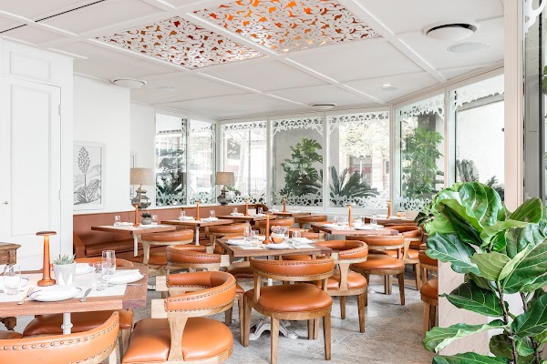 Bar Patrón Circular Quay 2