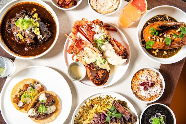 Bar Patrón Circular Quay 6