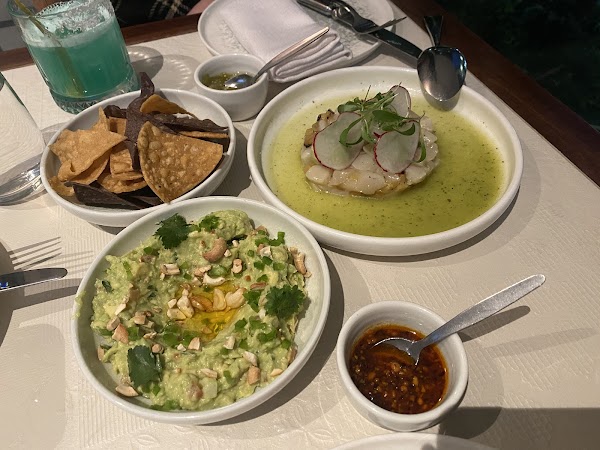 Bar Patrón Circular Quay 4