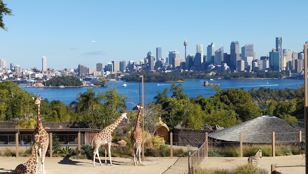 Taronga Zoo Sydney 4