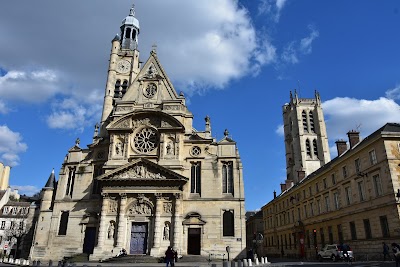 Parisian Majesty: An Architectural Promenade Through the Latin Quarter 3