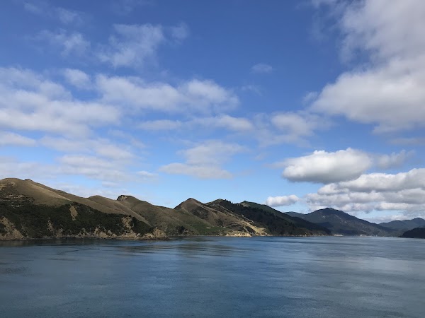 Cook Strait 3