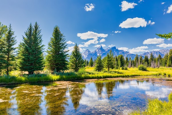 Grand Teton National Park 4