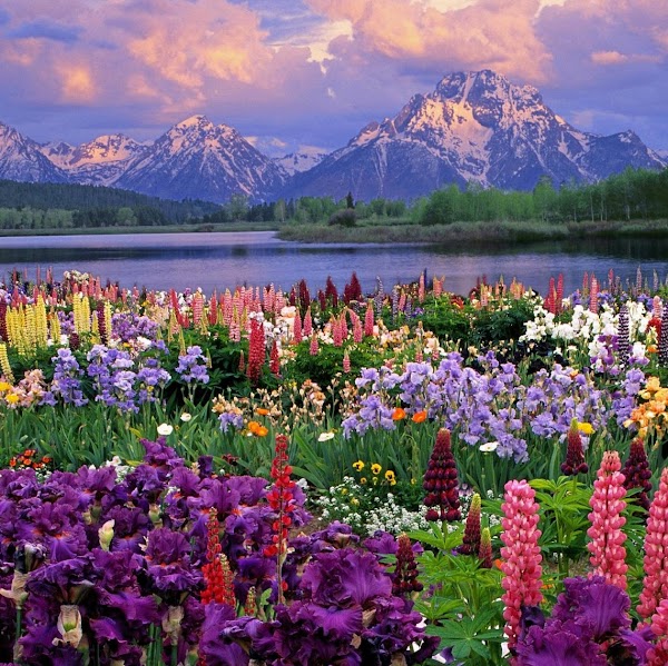 Grand Teton National Park 2